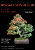 Bonsaje 2018