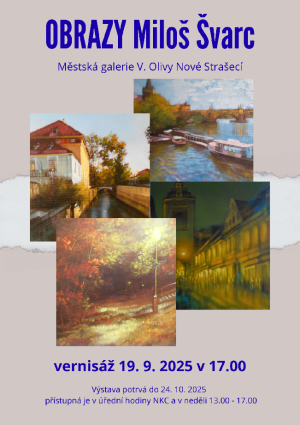 švarc obrazy 25