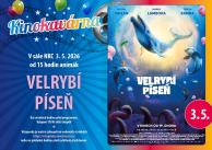 velrybí píseň