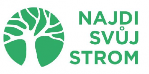 Najdi svůj strom
